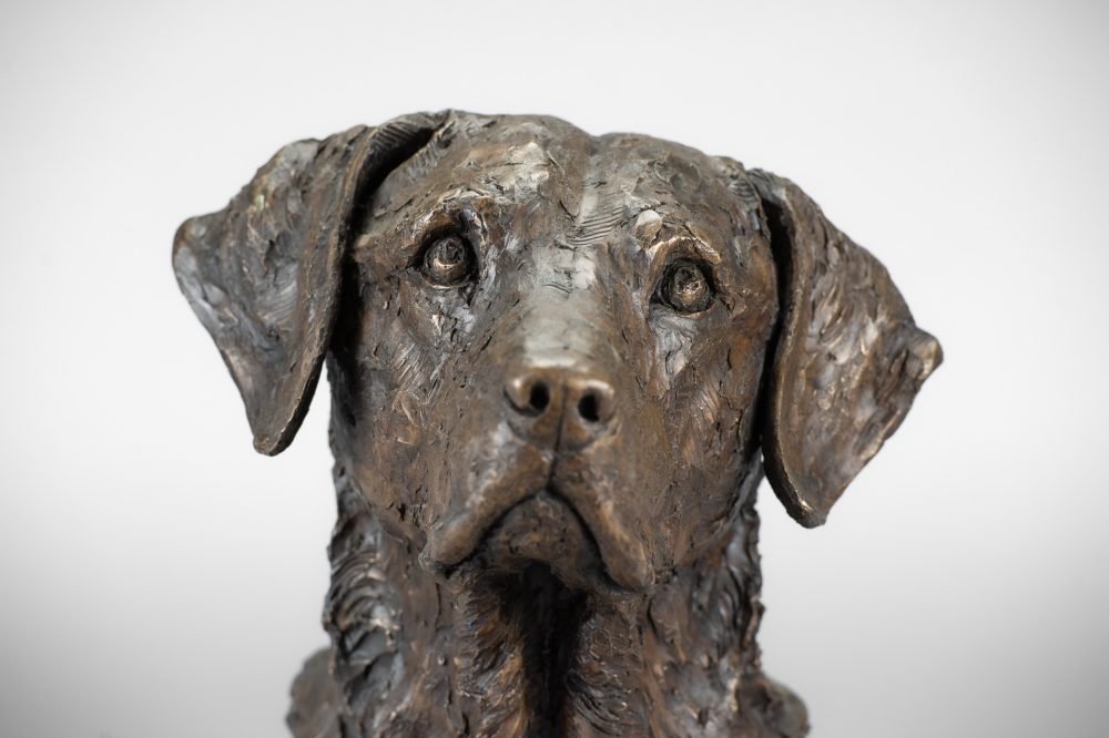 4 'Labrador Portrait 4 Tess', Dog Sculpture, Bronze Dog, Bronze Resin, Tanya Russell Animal Sculptures-9