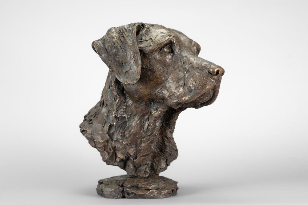 5 'Labrador Portrait 4 Tess', Dog Sculpture, Bronze Dog, Bronze Resin, Tanya Russell Animal Sculptures-8