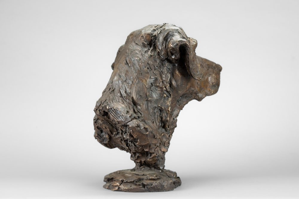 7 'Labrador Portrait 4 Tess', Dog Sculpture, Bronze Dog, Bronze Resin, Tanya Russell Animal Sculptures-6