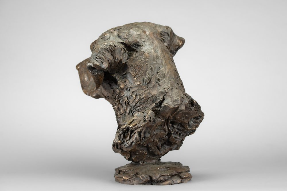 9 'Labrador Portrait 4 Tess', Dog Sculpture, Bronze Dog, Bronze Resin, Tanya Russell Animal Sculptures-4