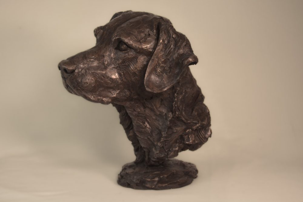 ''Labrador Portrait 4-, Bronze Dog, Dog Sculpture, Dog Statue, Bronze Resin, Tanya Russell Animal Sculptures 04