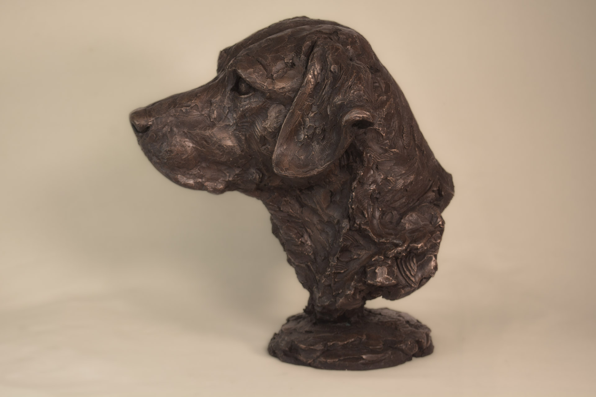 Bronze Labrador Portrait Sculpture Labrador Portrait Statue