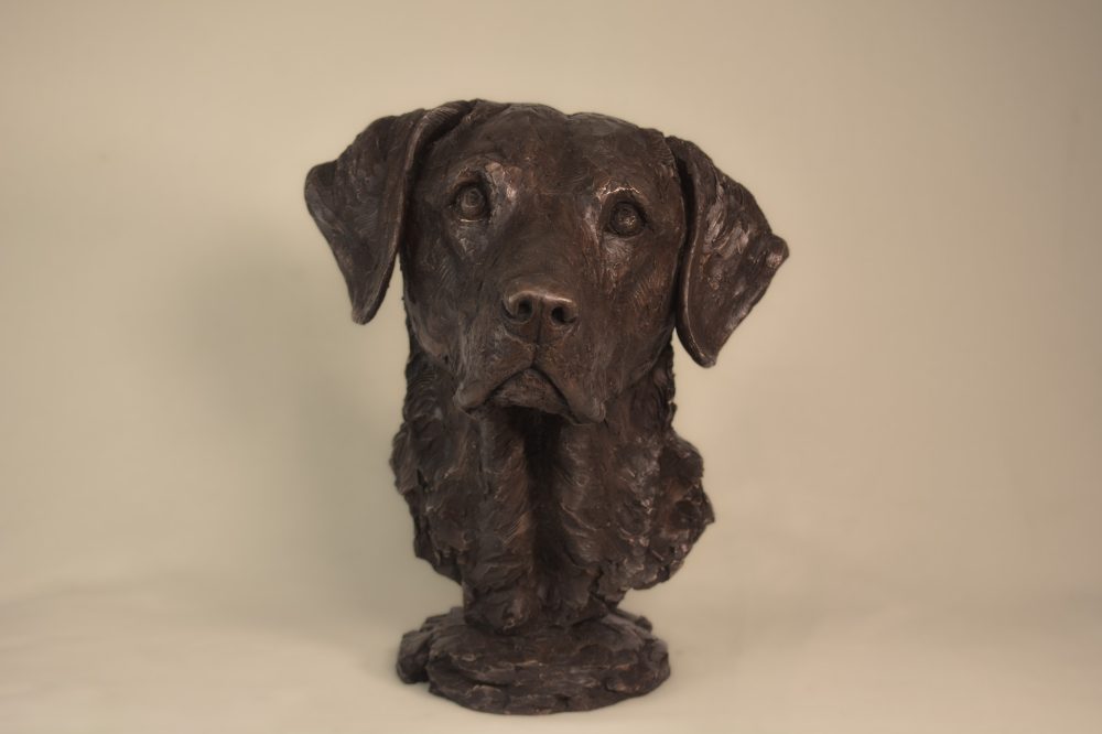 ''Labrador Portrait 4-, Bronze Dog, Dog Sculpture, Dog Statue, Bronze Resin, Tanya Russell Animal Sculptures 14