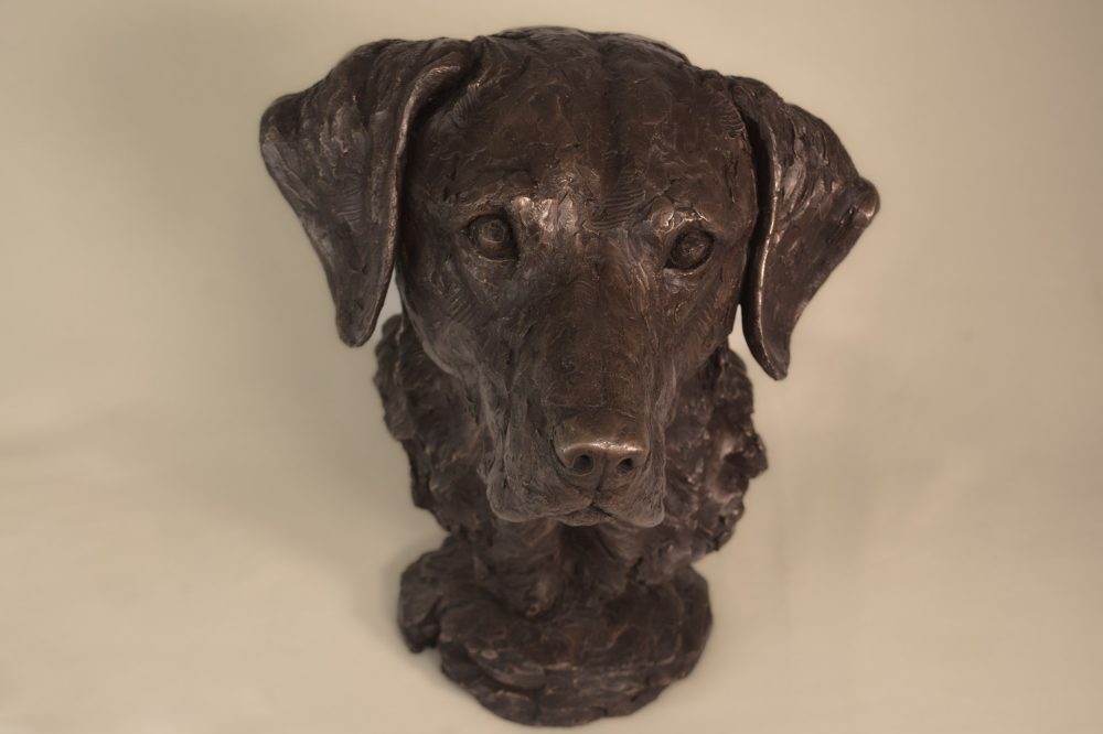 ''Labrador Portrait 4-, Bronze Dog, Dog Sculpture, Dog Statue, Bronze Resin, Tanya Russell Animal Sculptures 15