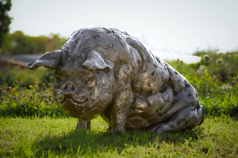a2 'Sitting Pig', Pig Sculpture, Bronze Pig, Bronze Resin, Tanya Russell Animal Sculptures-2