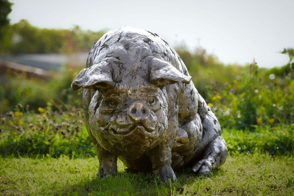 a3 'Sitting Pig', Pig Sculpture, Bronze Pig, Bronze Resin, Tanya Russell Animal Sculptures-4