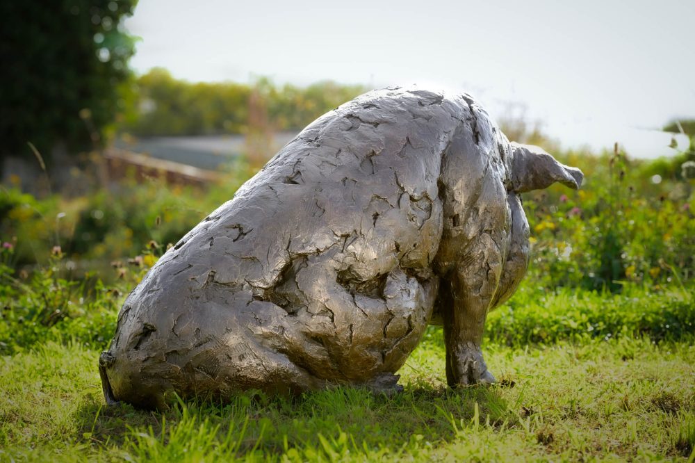 a5 'Sitting Pig', Pig Sculpture, Bronze Pig, Bronze Resin, Tanya Russell Animal Sculptures-6