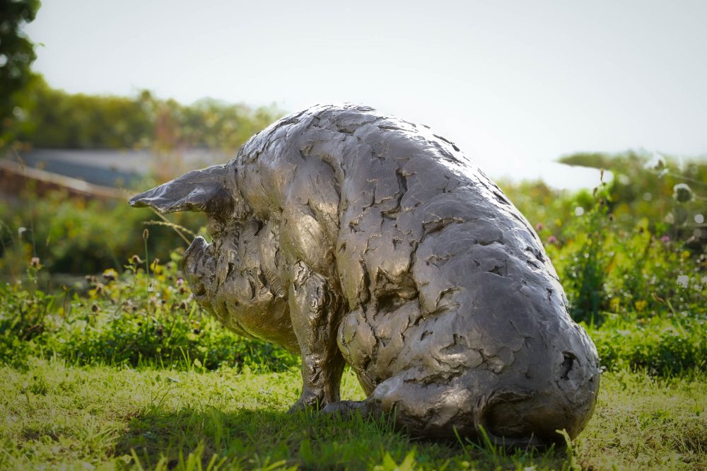 a6 'Sitting Pig', Pig Sculpture, Bronze Pig, Bronze Resin, Tanya Russell Animal Sculptures-12