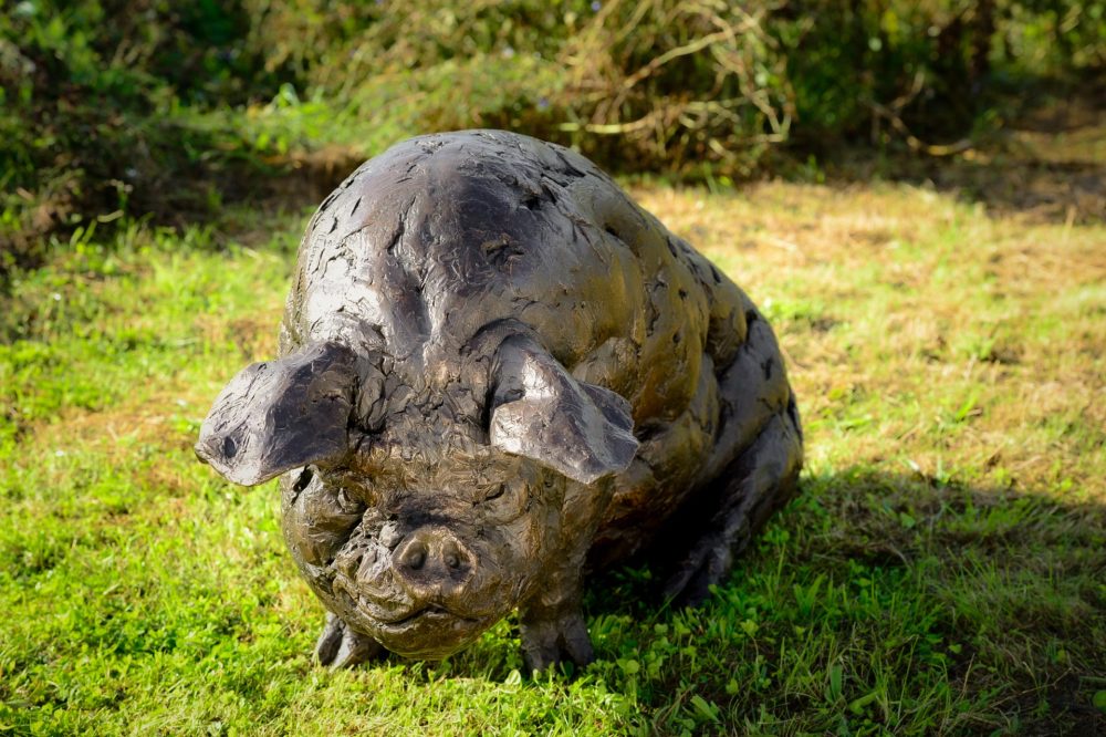 a7 'Sitting Pig', Pig Sculpture, Bronze Pig, Bronze Resin, Tanya Russell Animal Sculptures-9