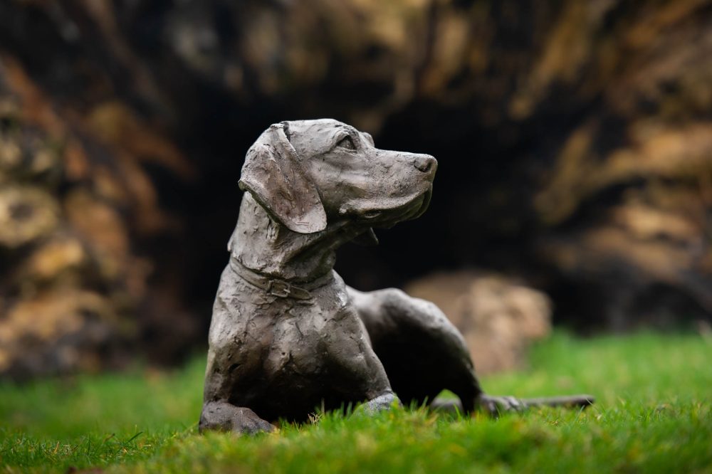 3 'Lying Speagle', Bronze Dog, Dog Sculpture, Dog Statue, Bronze Resin, Tanya Russell Animal Sculptures-5