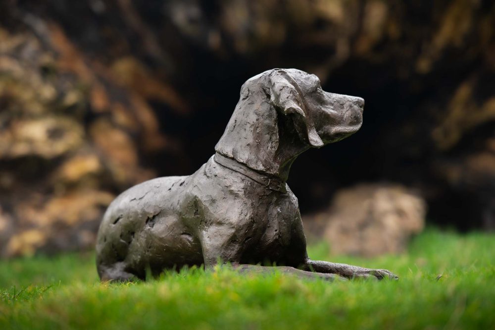 4 'Lying Speagle', Bronze Dog, Dog Sculpture, Dog Statue, Bronze Resin, Tanya Russell Animal Sculptures-4