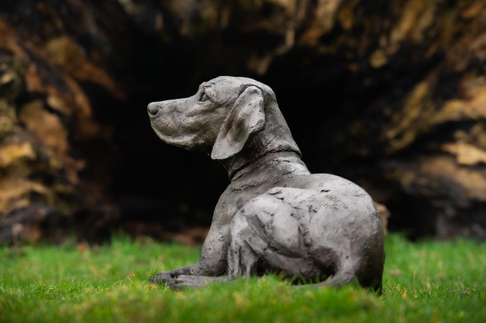 6 'Lying Speagle', Bronze Dog, Dog Sculpture, Dog Statue, Bronze Resin, Tanya Russell Animal Sculptures-2