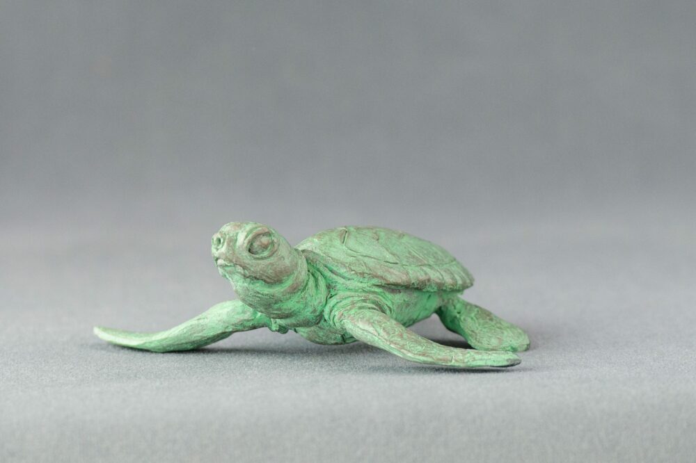 1 'Baby Turtle Raising it's Head', Bronze Turtles, Turtle Sculpture, Turtle Statue, Bronze Resin Tanya Russell Animal Sculptures (1 of 10)