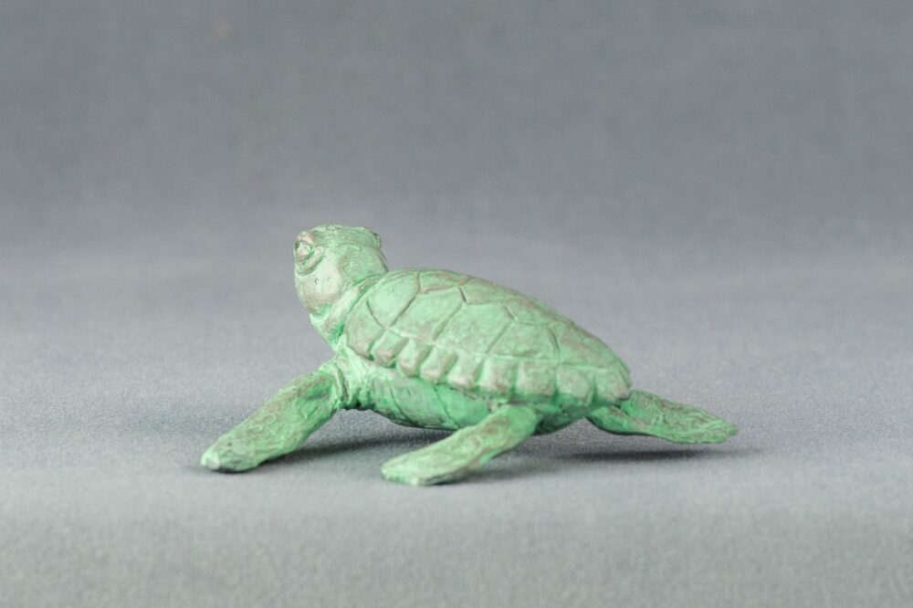 3 'Baby Turtle Raising it's Head', Bronze Turtles, Turtle Sculpture, Turtle Statue, Bronze Resin Tanya Russell Animal Sculptures (3 of 10)