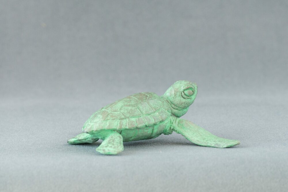 5 'Baby Turtle Raising it's Head', Bronze Turtles, Turtle Sculpture, Turtle Statue, Bronze Resin Tanya Russell Animal Sculptures (5 of 10)