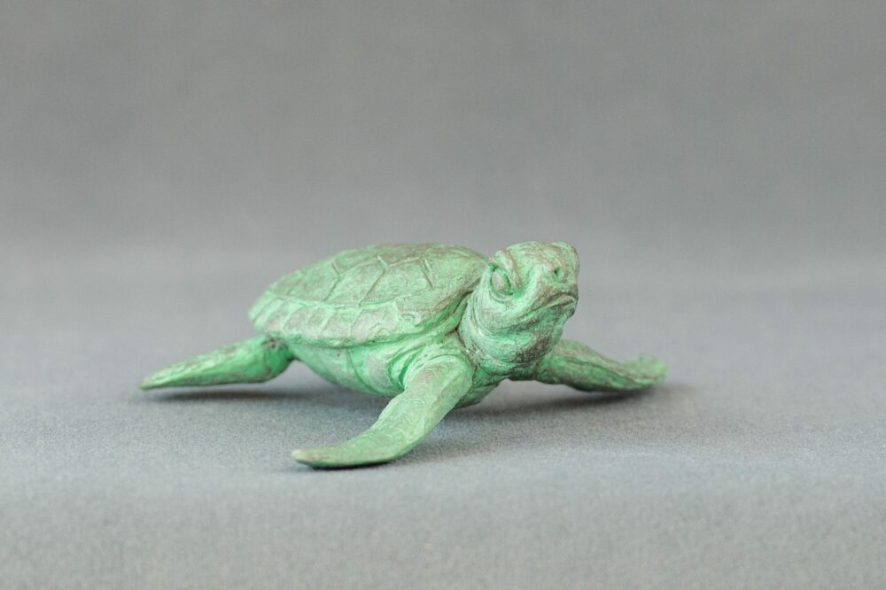 7 'Baby Turtle Raising it's Head', Bronze Turtles, Turtle Sculpture, Turtle Statue, Bronze Resin Tanya Russell Animal Sculptures (7 of 10)