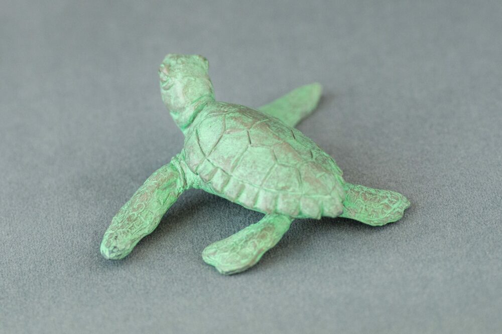 9 'Baby Turtle Raising it's Head', Bronze Turtles, Turtle Sculpture, Turtle Statue, Bronze Resin Tanya Russell Animal Sculptures (9 of 10)
