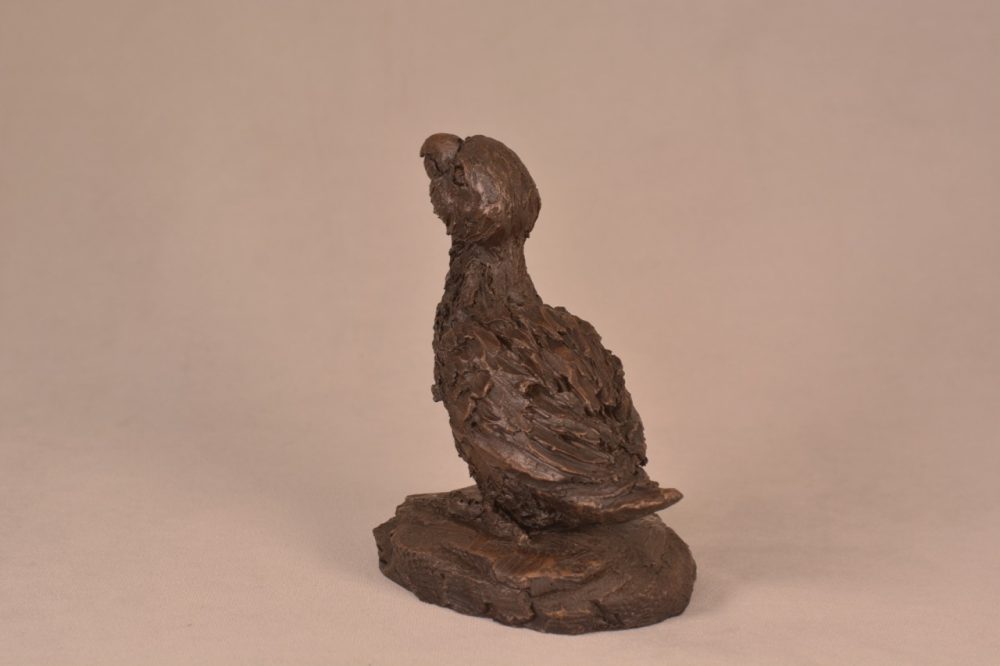 bronze parrot statue