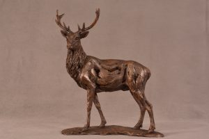 Video of Royal Stag sculpture
