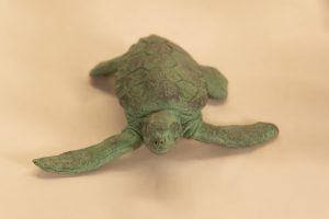 bronze baby sea turtle