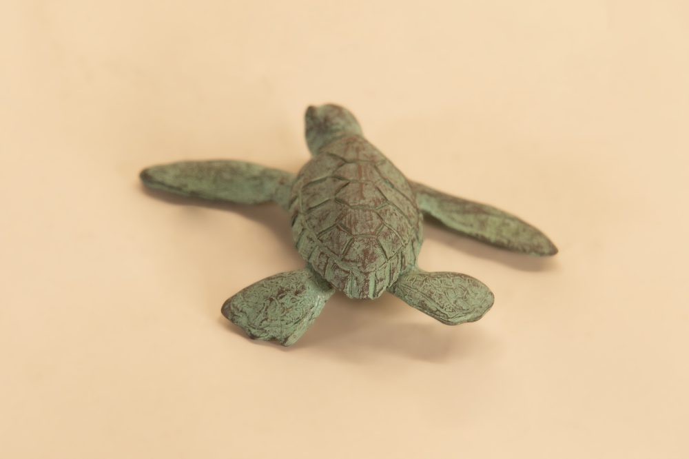 Bronze baby turtle