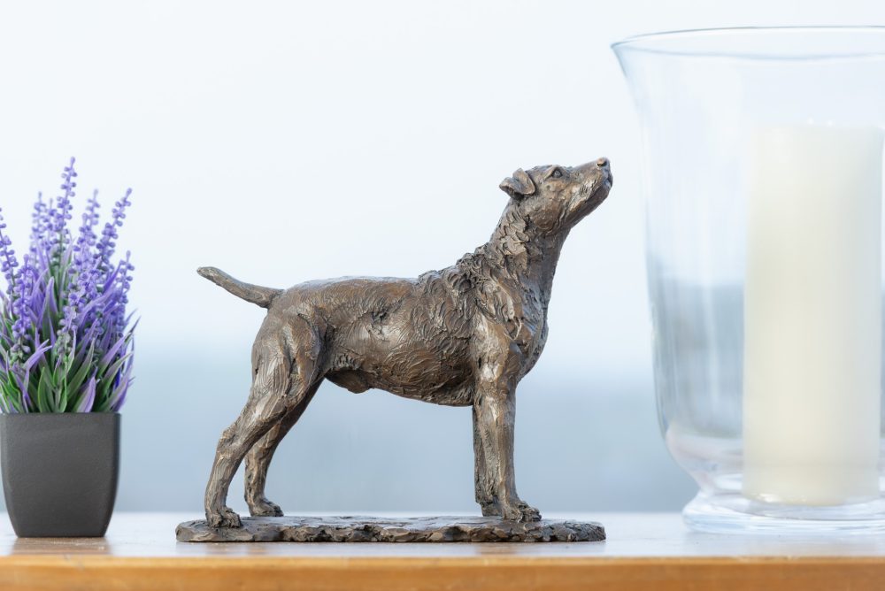 1 'Standing Patterdale Terrier', Bronze Dog, Dog Sculpture, Dog Statue, Bronze Resin, Tanya Russell Animal Sculpture-14
