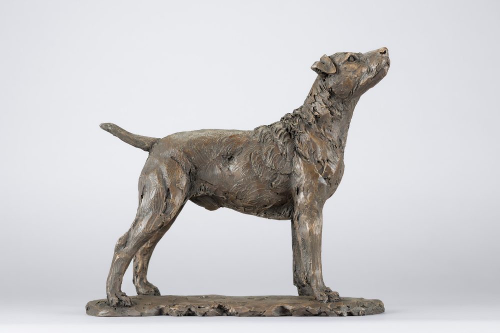 2 'Standing Patterdale Terrier', Bronze Dog, Dog Sculpture, Dog Statue, Bronze Resin, Tanya Russell Animal Sculpture-1