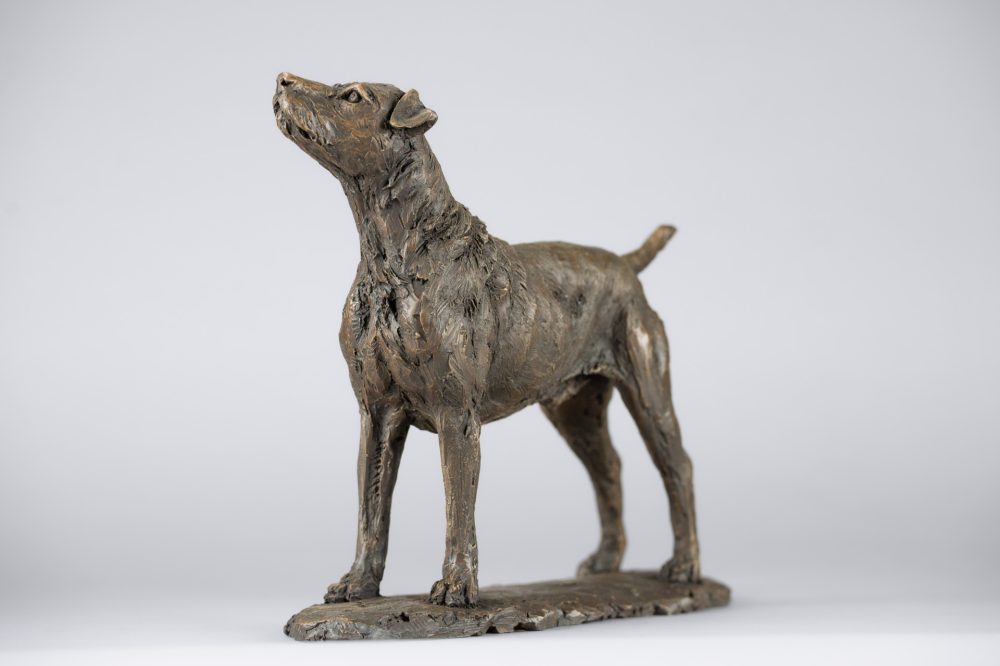 5 'Standing Patterdale Terrier', Bronze Dog, Dog Sculpture, Dog Statue, Bronze Resin, Tanya Russell Animal Sculpture-4