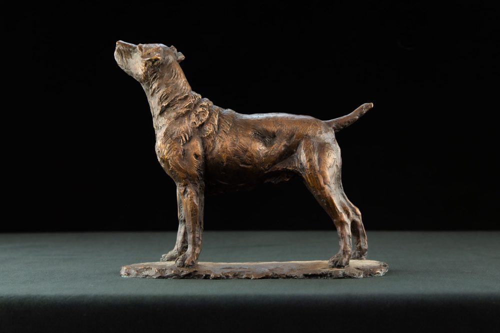 6 FOUNDRY BRONZE - 'Standing Patterdale Terrier' Bronze Dog, Dog Sculpture, Dog Statue, Foundry Bronze Metal, Tanya Russell Animal Sculptures (5 of 13)