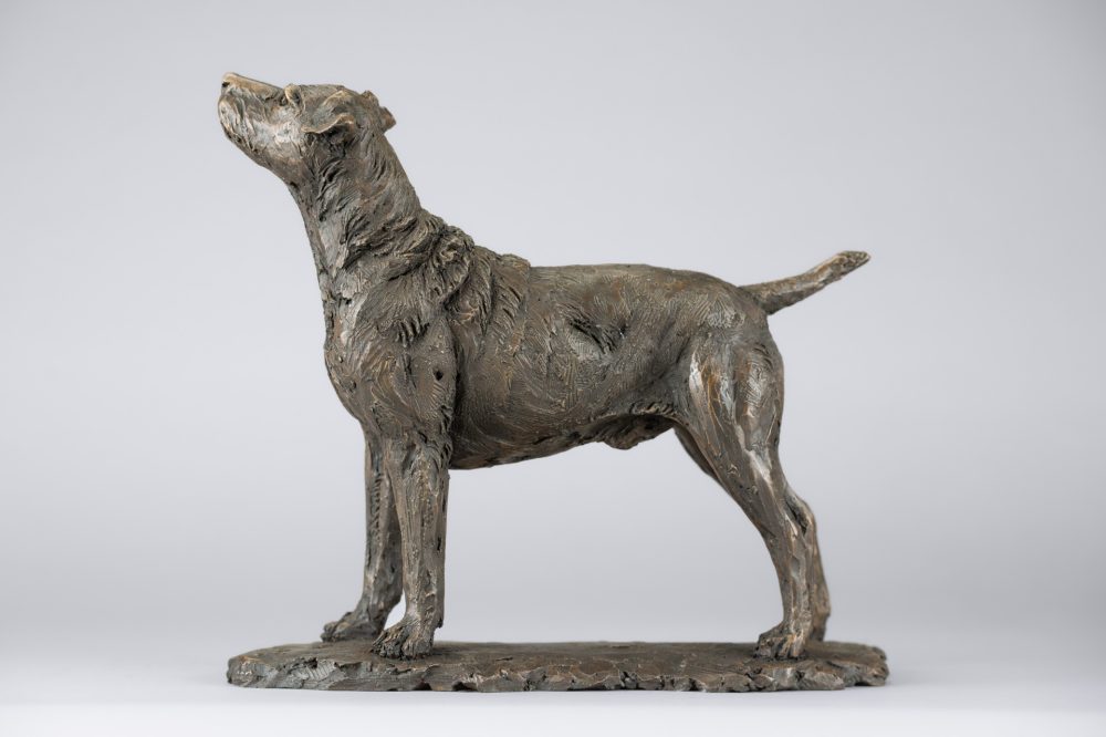 6 'Standing Patterdale Terrier', Bronze Dog, Dog Sculpture, Dog Statue, Bronze Resin, Tanya Russell Animal Sculpture-5