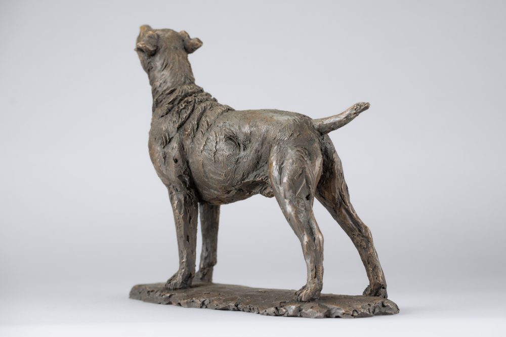 7 'Standing Patterdale Terrier', Bronze Dog, Dog Sculpture, Dog Statue, Bronze Resin, Tanya Russell Animal Sculpture-6