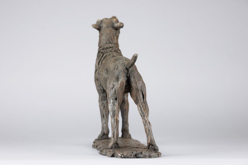 8 'Standing Patterdale Terrier', Bronze Dog, Dog Sculpture, Dog Statue, Bronze Resin, Tanya Russell Animal Sculpture-7