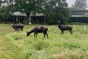 Deer Herd Sculpture