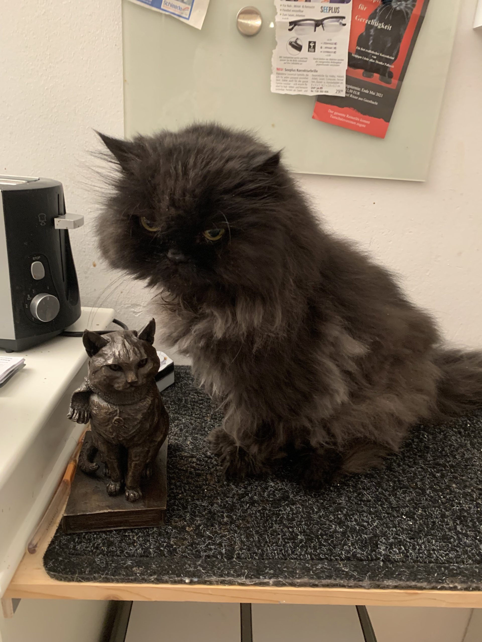 Streetcat bob statue with cat