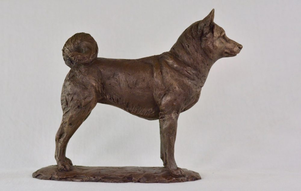 1 Standing Shiba Inu dog statue in Bronze Resin - bronze Shiba Inu sculpture - Tanya Russell animal sculptures