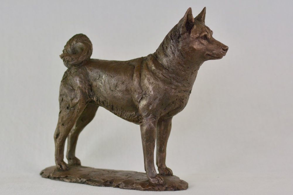2 Standing Shiba Inu dog statue in Bronze Resin - bronze Shiba Inu sculpture - Tanya Russell animal sculptures 4