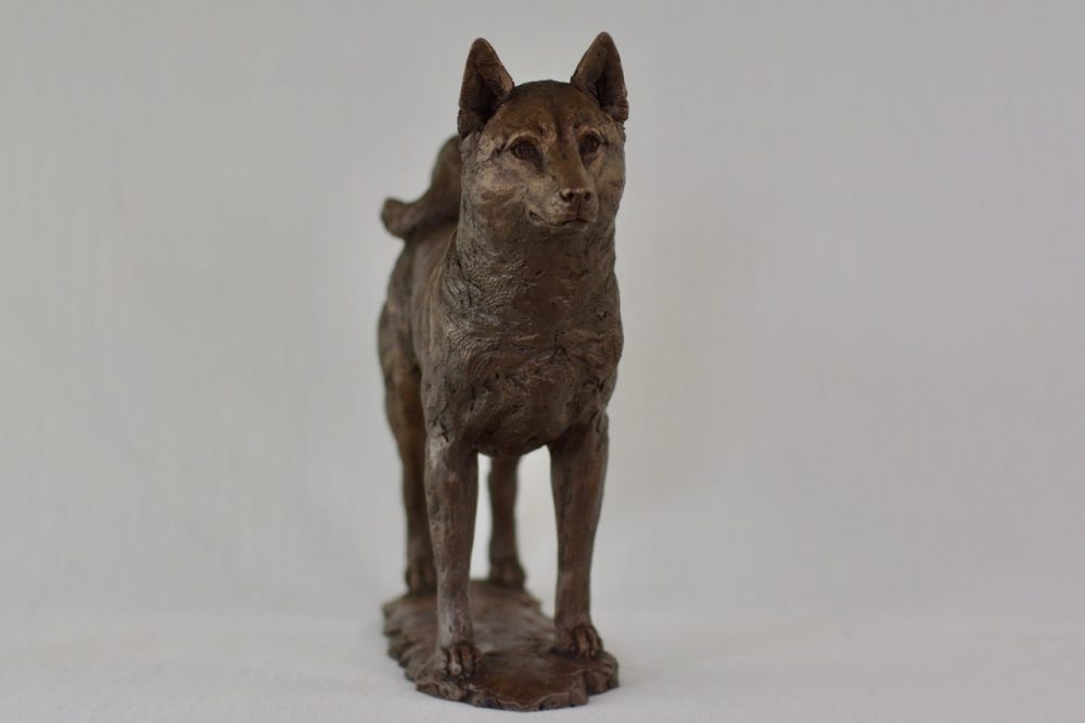 3 Standing Shiba Inu dog statue in Bronze Resin - bronze Shiba Inu sculpture - Tanya Russell animal sculptures 6