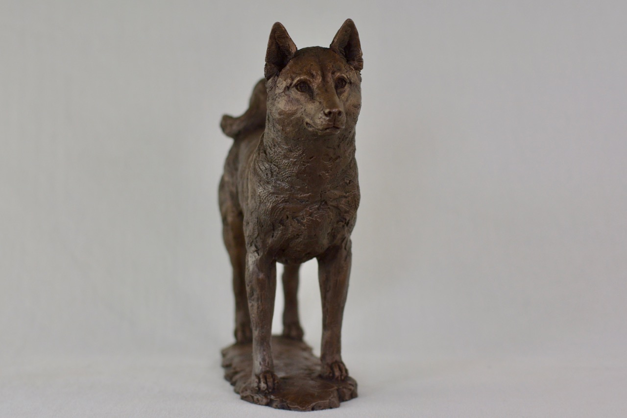 Bronze Standing Shiba Inu Sculpture | Dog Statue | Dog Ornament