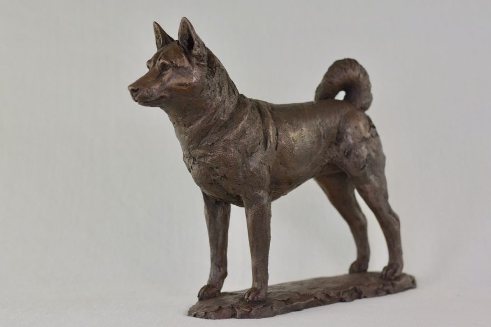 4 Standing Shiba Inu dog statue in Bronze Resin - bronze Shiba Inu sculpture - Tanya Russell animal sculptures 9