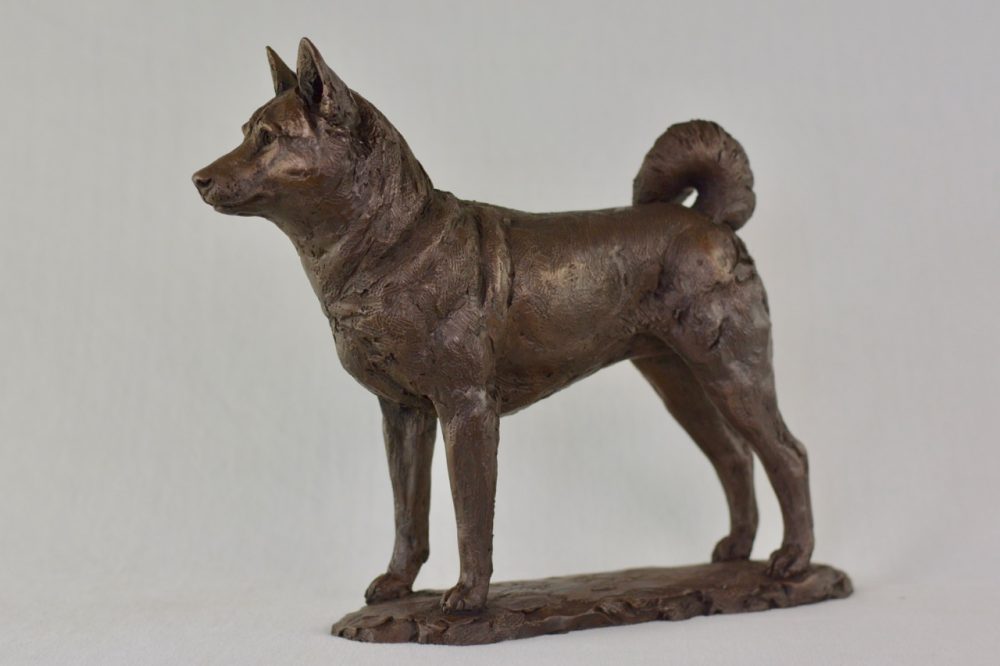 5 Standing Shiba Inu dog statue in Bronze Resin - bronze Shiba Inu sculpture - Tanya Russell animal sculptures 10