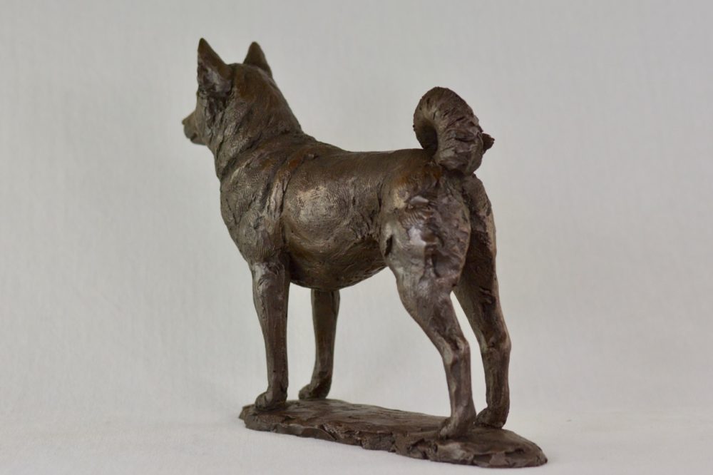 6 Standing Shiba Inu dog statue in Bronze Resin - bronze Shiba Inu sculpture - Tanya Russell animal sculptures 12