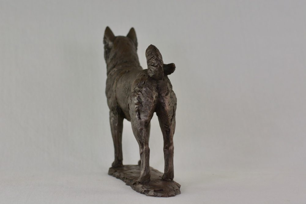 7 Standing Shiba Inu dog statue in Bronze Resin - bronze Shiba Inu sculpture - Tanya Russell animal sculptures 13