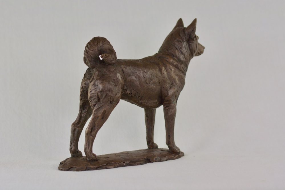 8 Standing Shiba Inu dog statue in Bronze Resin - bronze Shiba Inu sculpture - Tanya Russell animal sculptures 14