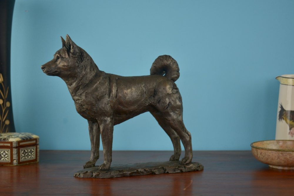9 Standing Shiba Inu dog statue in Bronze Resin - bronze Shiba Inu sculpture - Tanya Russell animal sculptures 2