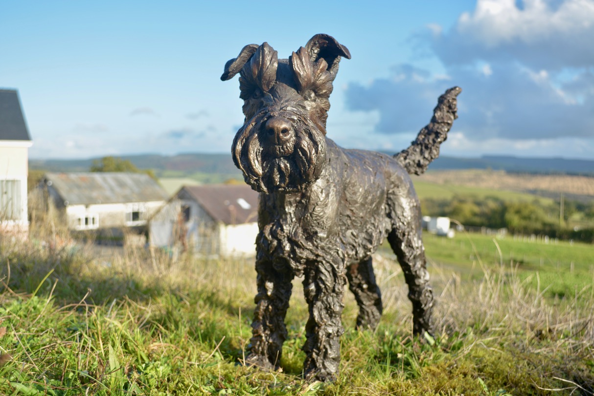 Standing Miniature Schnauzer