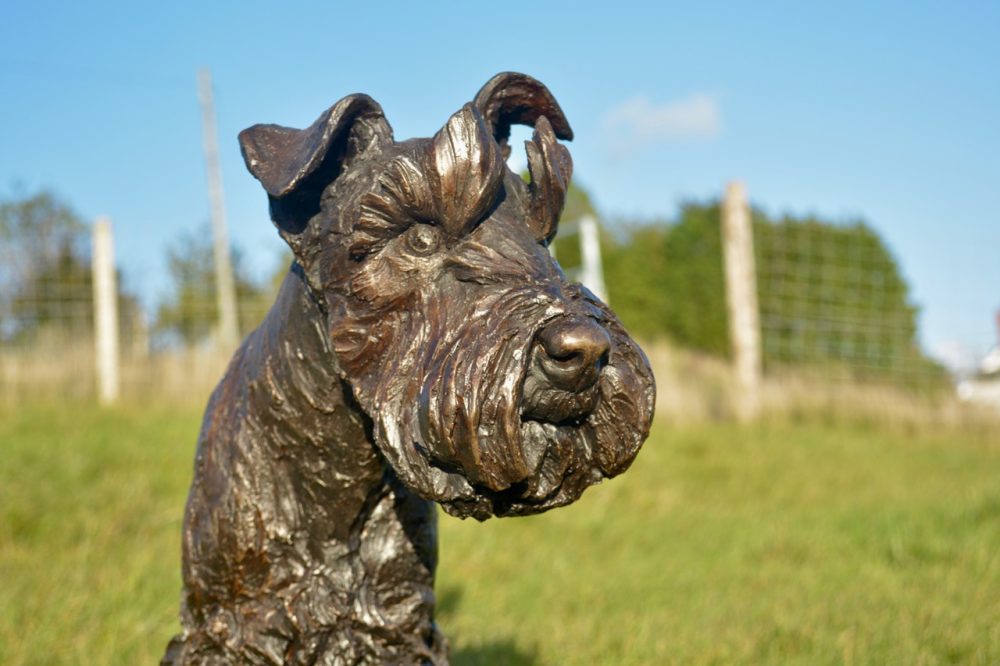 ''Standing Miniature Schnauzer", Bronze Dog, Standing Miniature Schnauzer Sculpture, Schnauzer Statue, Bronze Resin Tanya Russell Animal Sculptures