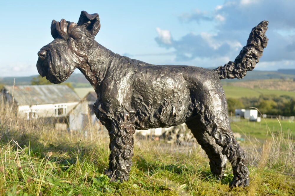 ''Standing Miniature Schnauzer", Bronze Dog, Standing Miniature Schnauzer Sculpture, Schnauzer Statue, Bronze Resin Tanya Russell Animal Sculptures