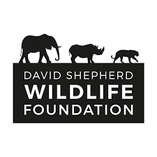 David Shepherd Wildlife Foundation Logo