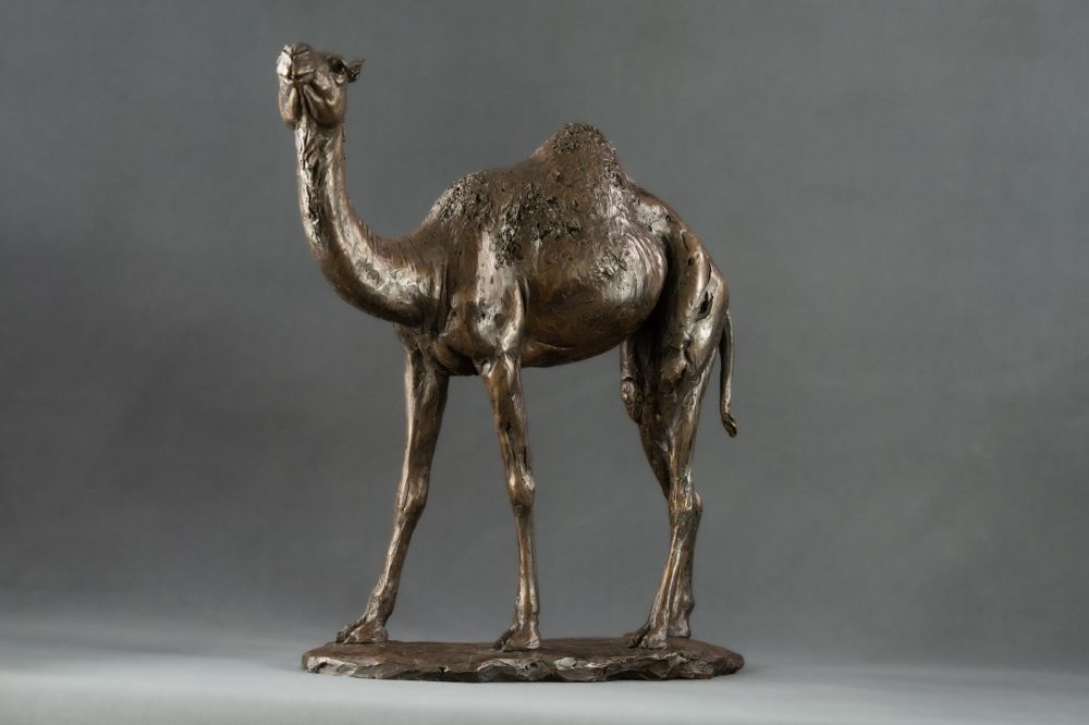 'Camel' Bronze Camel, Camel Sculpture, Camel Statue, Bronze Resin, Tanya Russell Sculptures-1
