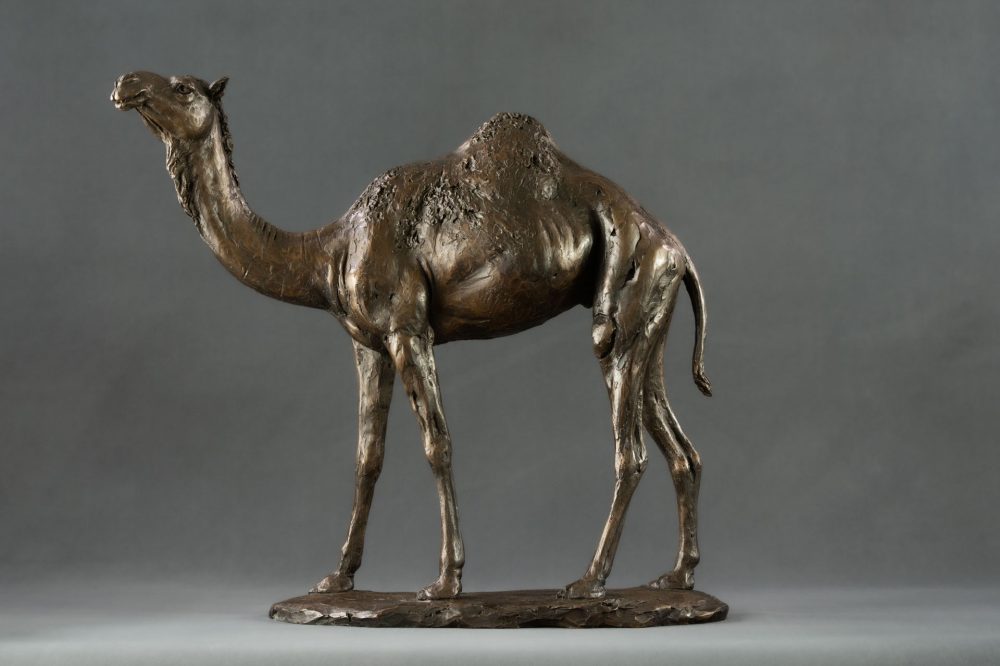 'Camel' Bronze Camel, Camel Sculpture, Camel Statue, Bronze Resin, Tanya Russell Sculptures-2